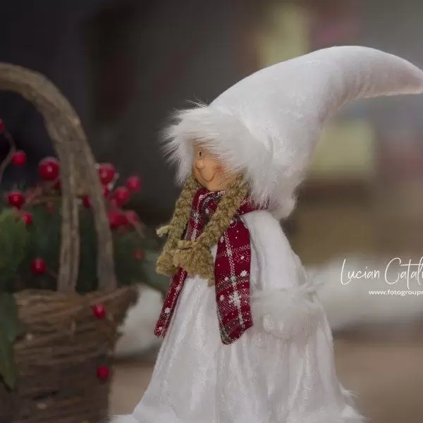 NIKON D7100 2017-12-19 17:45:32 f/9 1/125sec ISO-320 200mm