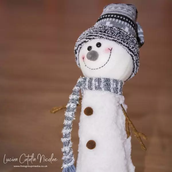 NIKON D7100 2017-12-19 17:48:29 f/2.8 1/250sec ISO-320 100mm