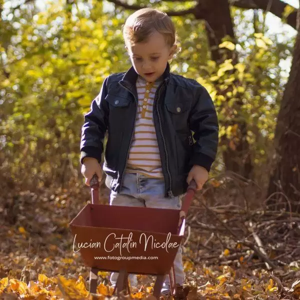 NIKON D7100 2015 11 13 14:13:36 f/4 1/2000sec ISO 640 70mm