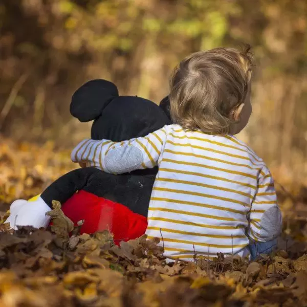 NIKON D7100 2015 11 13 14:28:08 f/3 1/640sec ISO 160 105mm