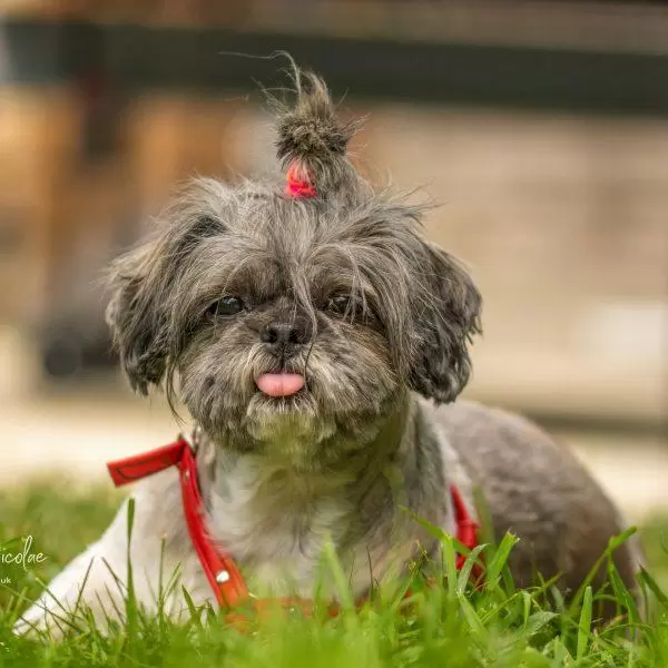 NIKON D7100 2015-08-12 17:47:14 f/3 1/1250sec ISO-640 105mm