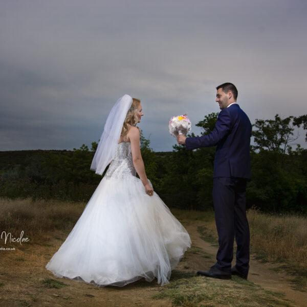 NIKON D7100 2017-07-16 15:46:45 f/8 1/250sec ISO-100 19mm