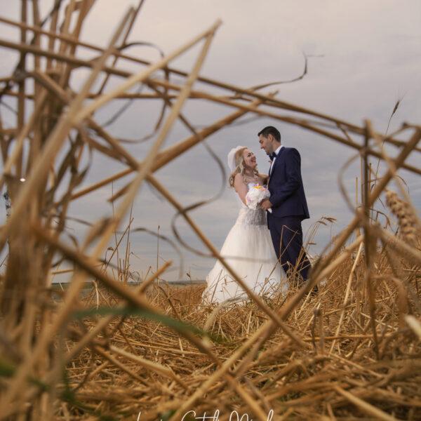 NIKON D7100 2017-07-16 16:15:54 f/8 1/100sec ISO-100 20mm