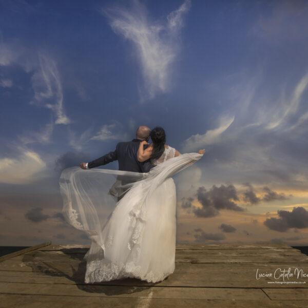 NIKON D7100 2017-08-25 16:25:57 f/9 1/1600sec ISO-100 11.5mm