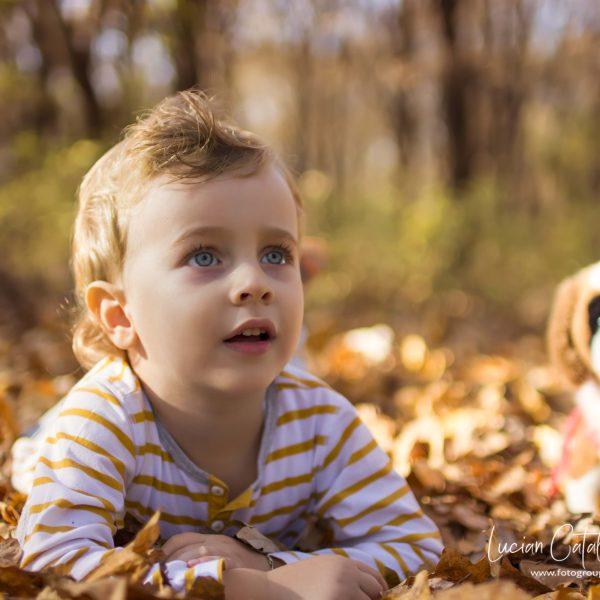 NIKON D7100 2015-11-13 14:42:39 f/1.4 1/1000sec ISO-160 30mm